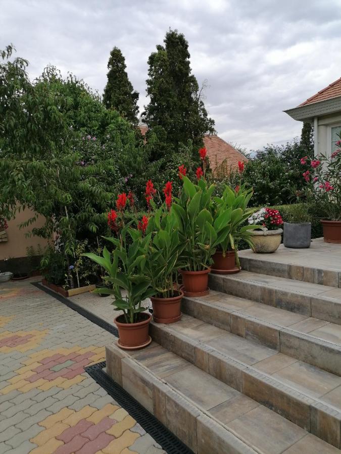 Kaktuszvirag Apartmanhaz Hajdúszoboszló المظهر الخارجي الصورة