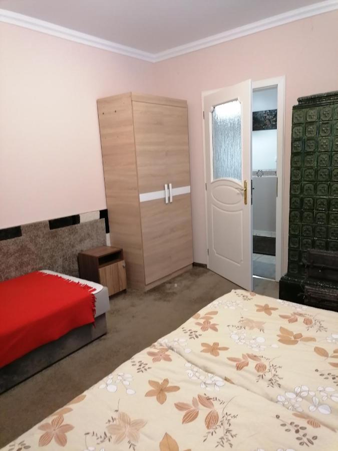 Kaktuszvirag Apartmanhaz Hajdúszoboszló المظهر الخارجي الصورة